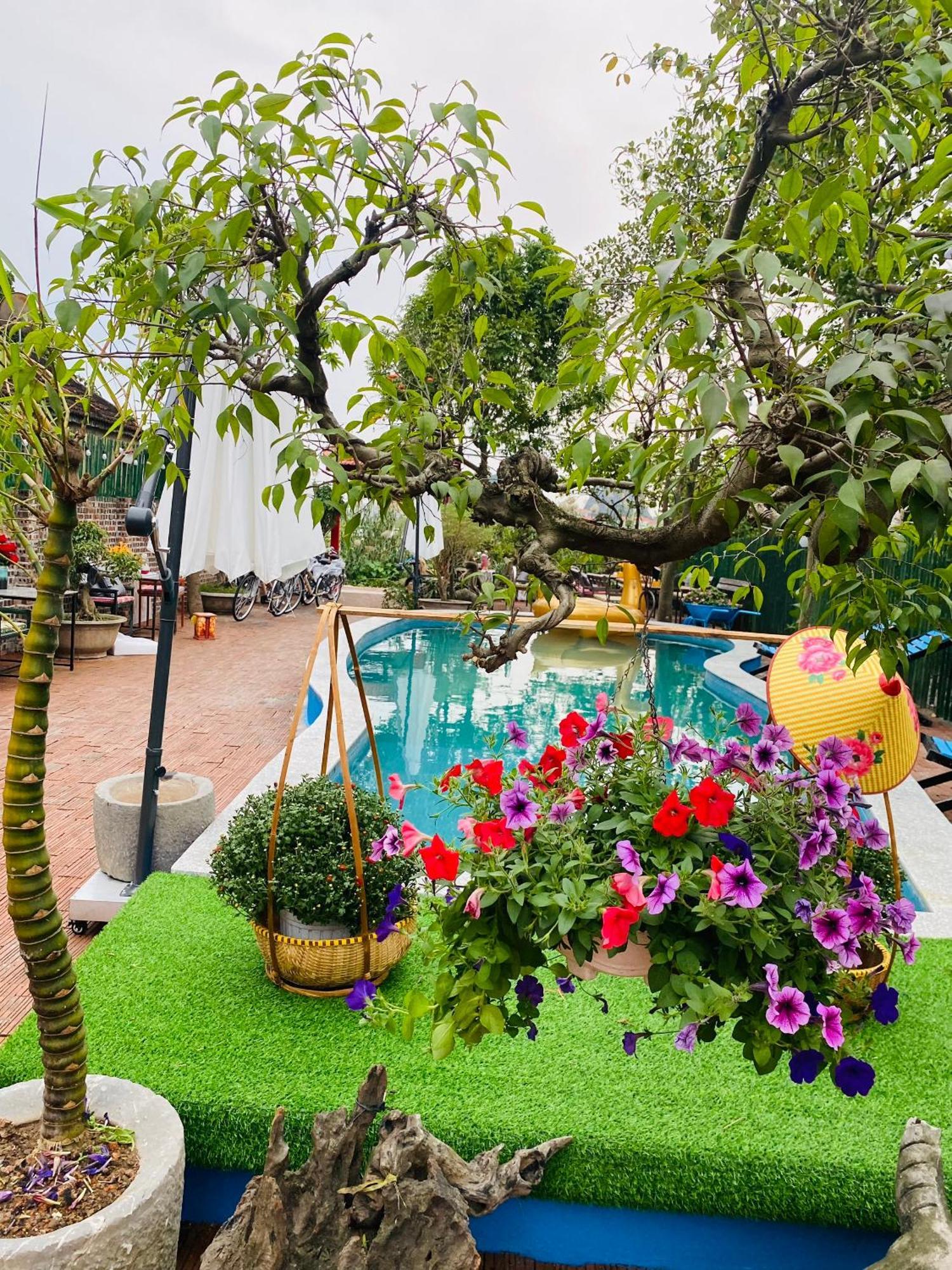 An Homestay Tam Coc Ninh Binh Exterior foto